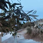 Agreli House Σπίτι διακοπών Lichnaftia