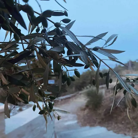 Agreli House 度假居 Lichnaftia