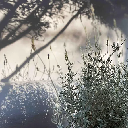 Agreli House * Lichnaftia