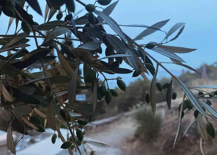 Agreli House Feriehus Lichnaftia