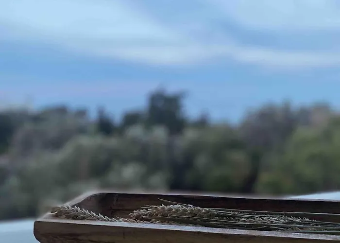 Agreli House * Lichnaftia