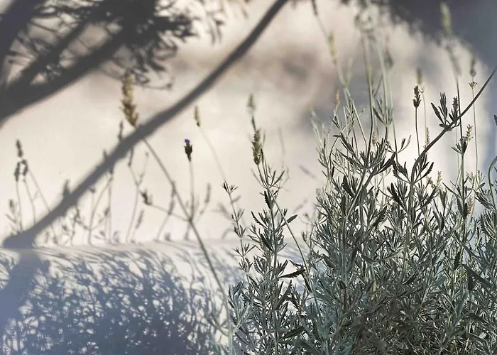 Agreli House * Lichnaftia